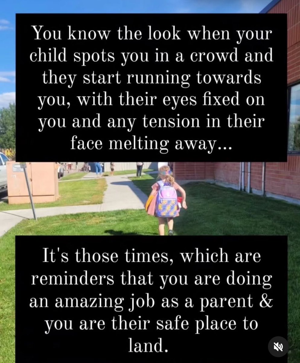 Stoic_Father's tweet image. One of the best feelings