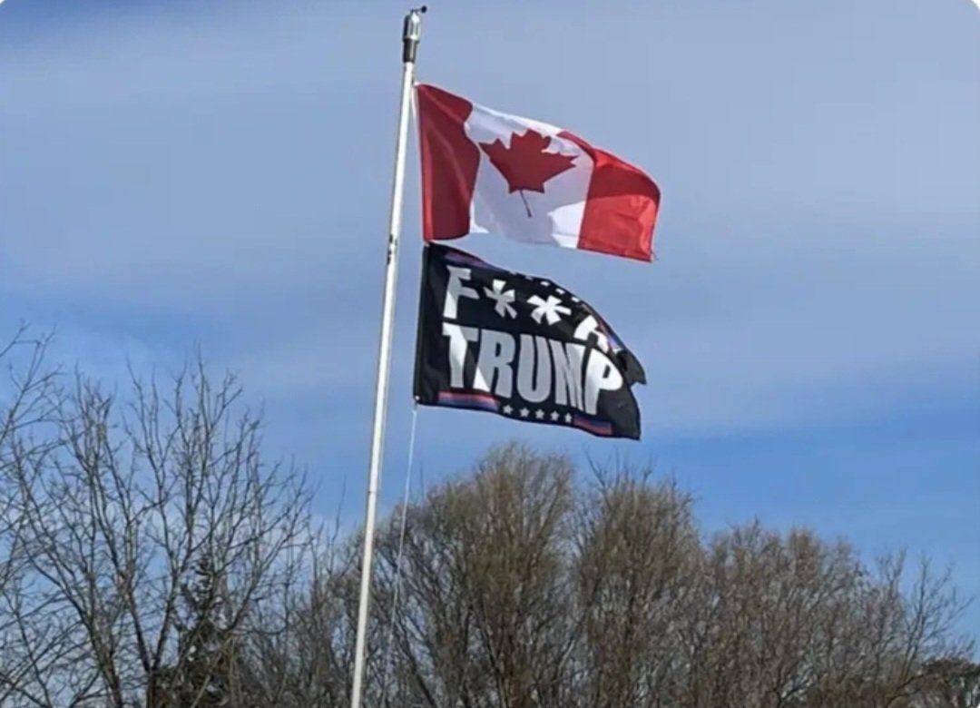Canadians Say Fuck You Trump🖕 🌎🇨🇦🇺🇦 tweet media