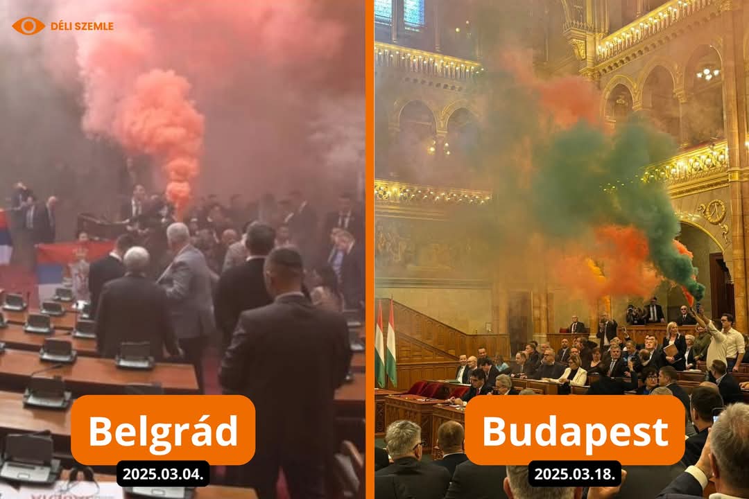 Bede Zsolt tweet media
