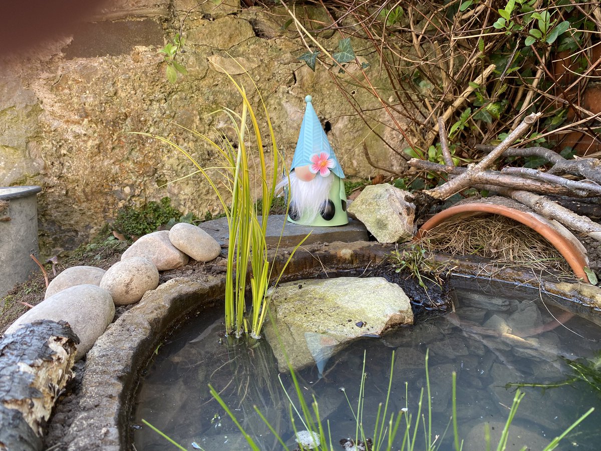 Rules of Gruesome tweet media