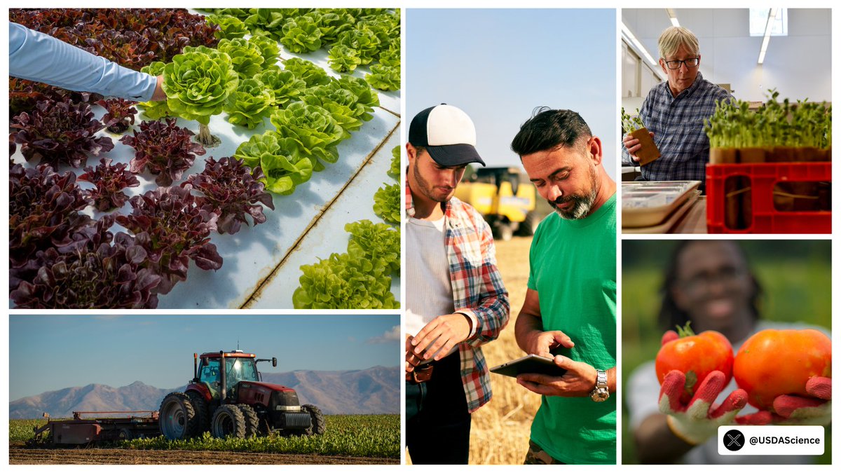 It’s National Ag Day! #USDAScience is making agriculture more efficient &amp; prosperous than ever before, helping farmers to feed, fuel &amp; clothe all Americans. #AgDay25