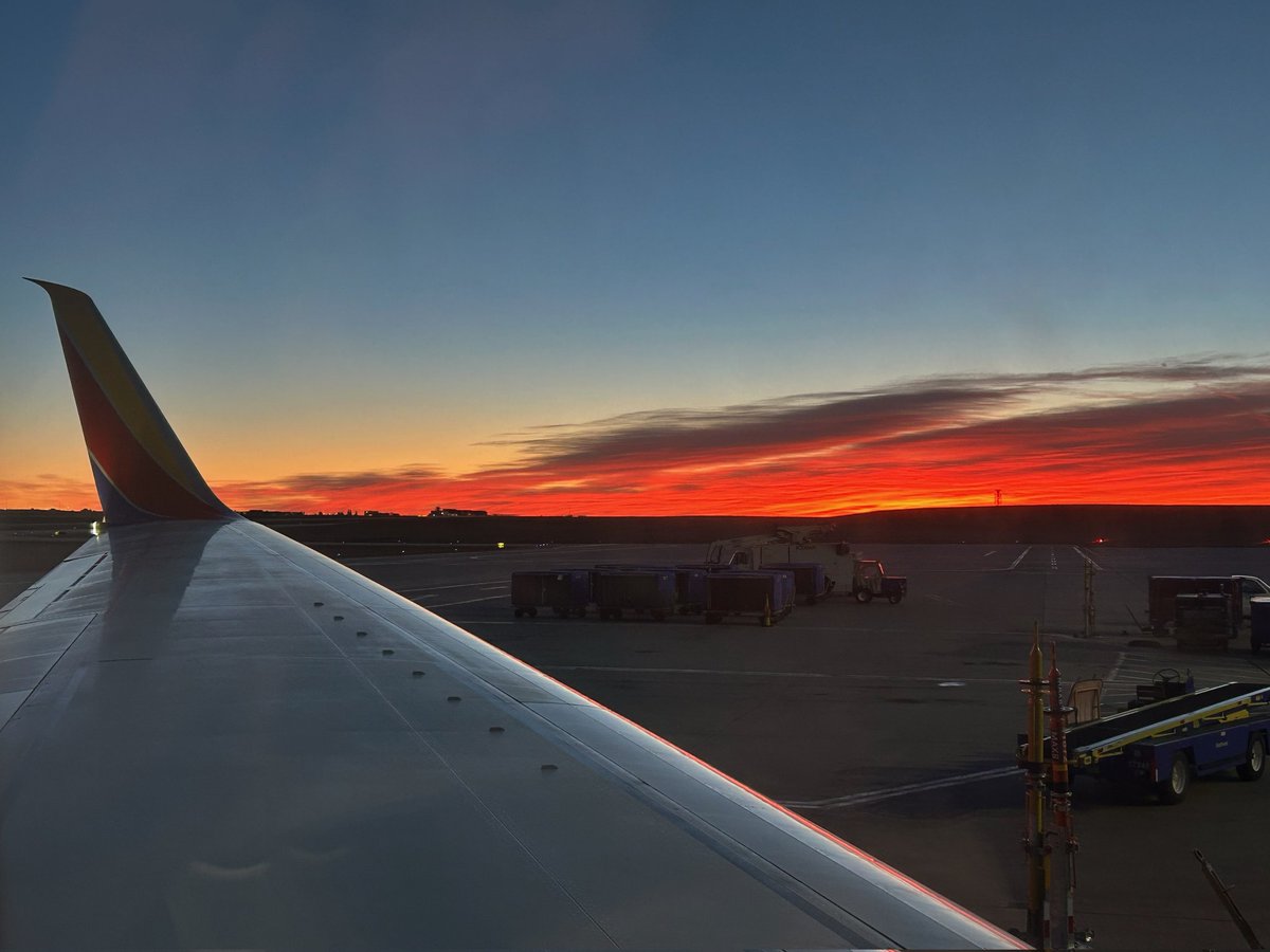 DC Huskies Baseball tweet media