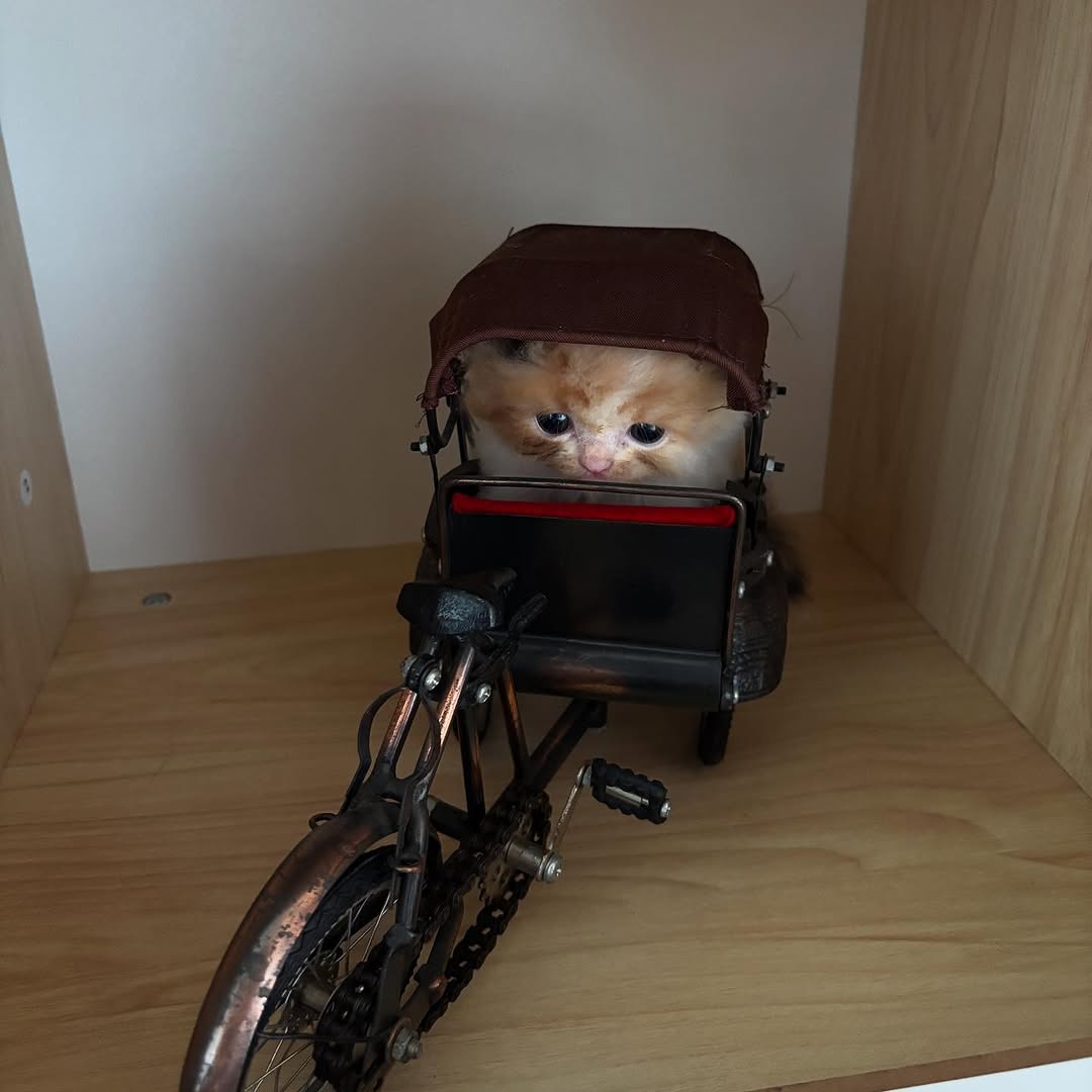 Ready for the journey