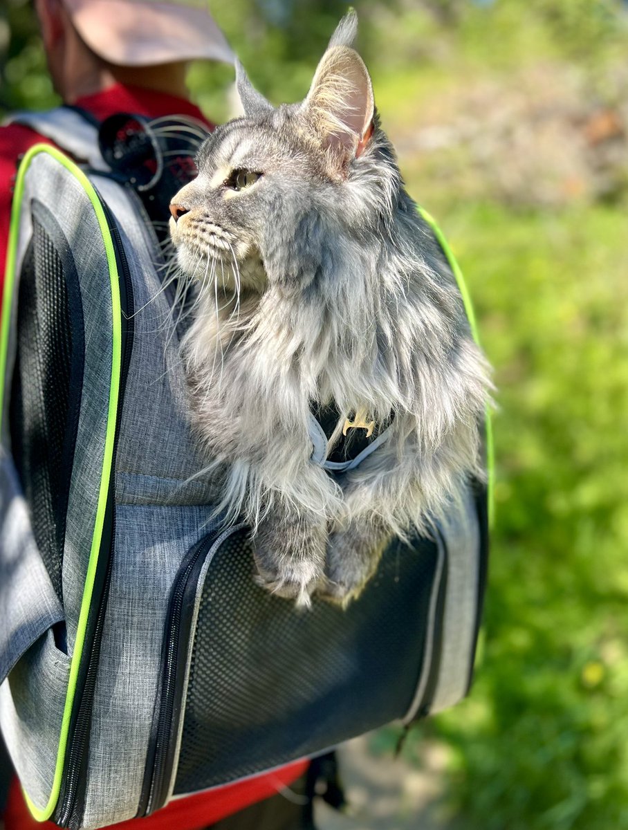 America’s Chad Twaddle tweet media