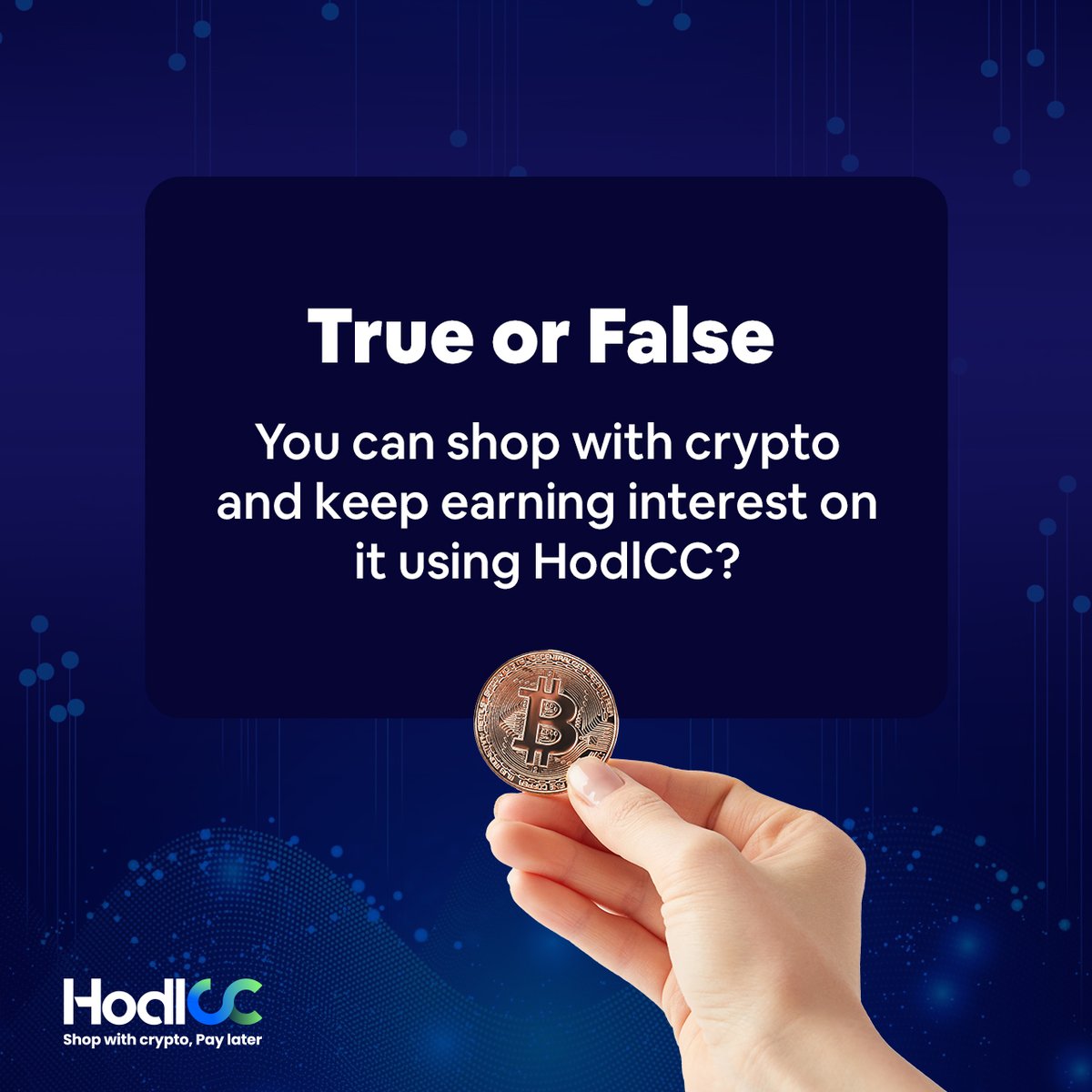HodlCC tweet media