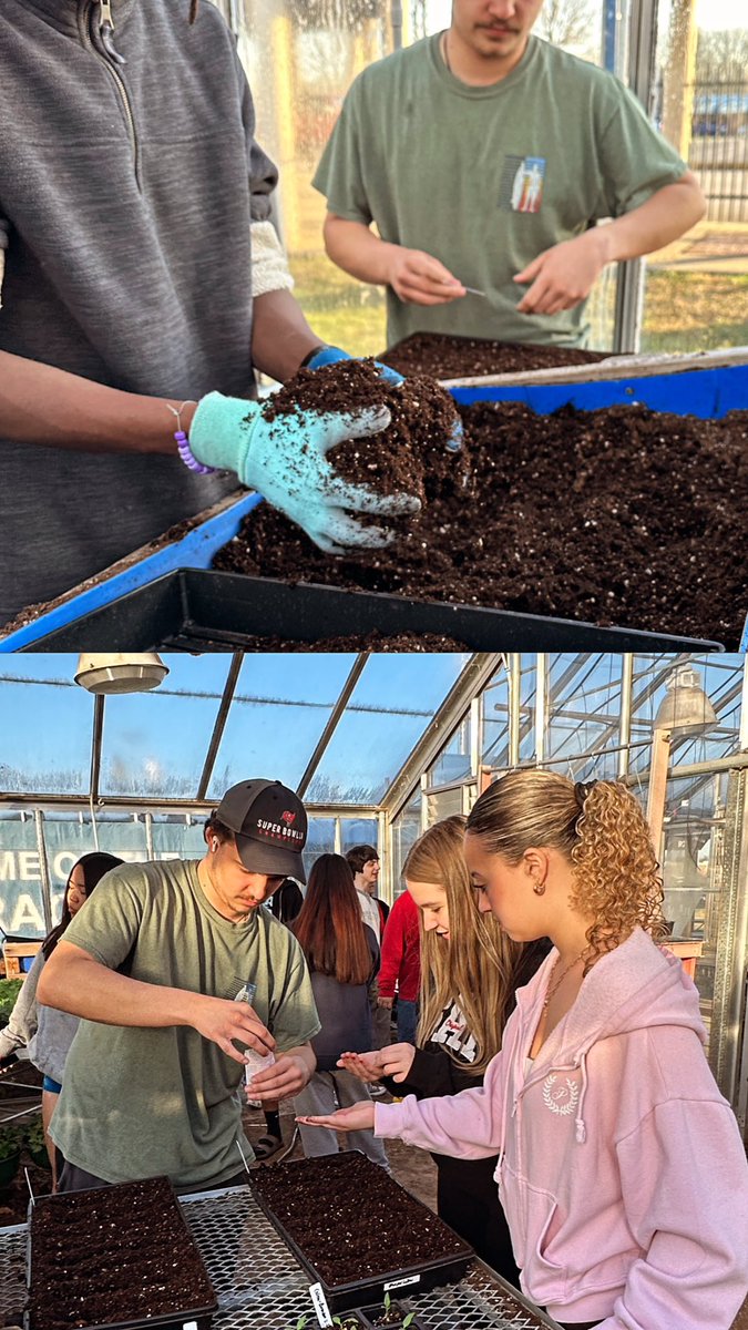 Alice Orange (@wchsart) on Twitter photo Good morning from the Greenhouse☀️ Art 2/3 students planted marigold seeds for our hand built clay planters🪴 We will transplant them into our planters next month!
<a href="/WC_Dragons/">Warren Central High School</a> Good morning from the Greenhouse☀️ Art 2/3 students planted marigold seeds for our hand built clay planters🪴 We will transplant them into our planters next month!
<a href="/WC_Dragons/">Warren Central High School</a>