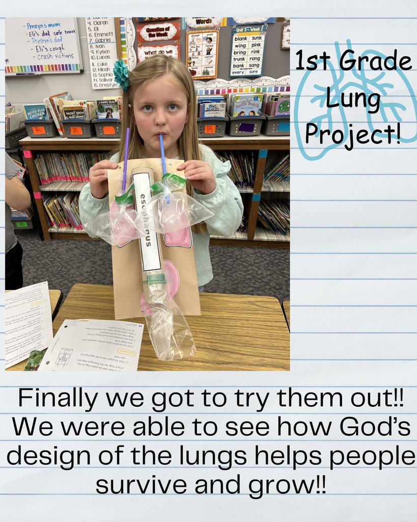 EFYork's tweet photo. Our 1st graders created lungs as part of their science lesson on the human body! They learned how God’s design of the lungs helps us breathe, survive, and grow. Such a fun and educational hands-on experience! 🫁 #TeamEF #ScienceFun #GodsCreation #HandsOnLearning https://t.co/hBbopcvwaT
