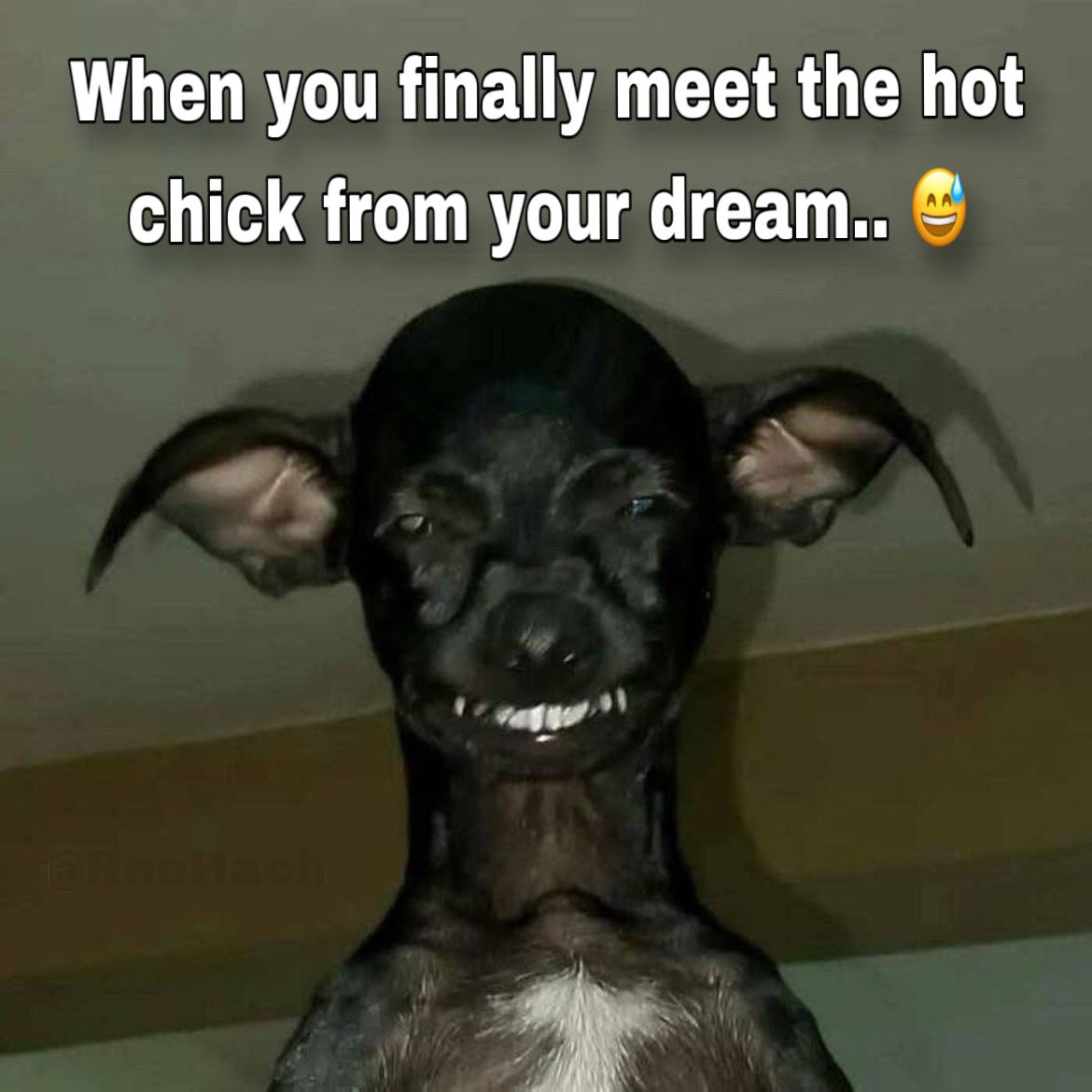 RnoHach's tweet image. Good morning 𝕏! 😆