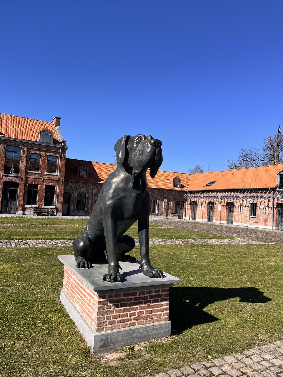Nous sommes à Luchin cet après midi pour une visite du centre d’entraînement du <a href="/losclive/">LOSC</a> avec des jeunes de l’IEM DABBADIE de <a href="/apfhandicap/">APF France handicap</a> 
Avec <a href="/RemyCabella/">Remy Cabella</a> et <a href="/CaillardM/">Marc-Aurèle Caillard</a> 
Reportage à retrouver très bientôt sur <a href="/beinsports_FR/">beIN SPORTS</a> ☀️ 📺 avec <a href="/Florian_genton/">Florian Genton</a> #beUnited