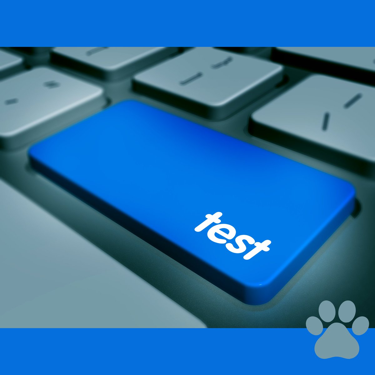 GMAS 20-Day Countdown Begins!

The Georgia Milestones Assessment (GMAS) is just 20 days away! Now is the time to focus, review, and prepare for success.
wcms.sccpss.com/~board/west-ch…