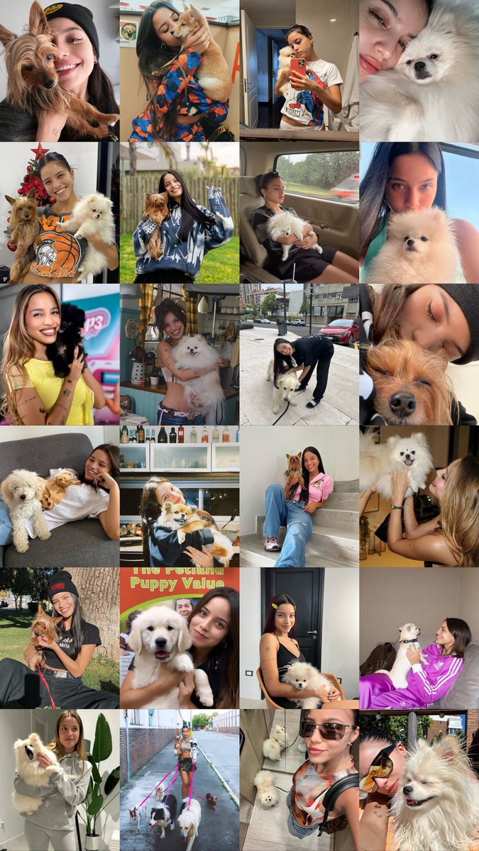 mernesssj's tweet photo. emilia con perritos🤍 https://t.co/GU6rAmjQi0