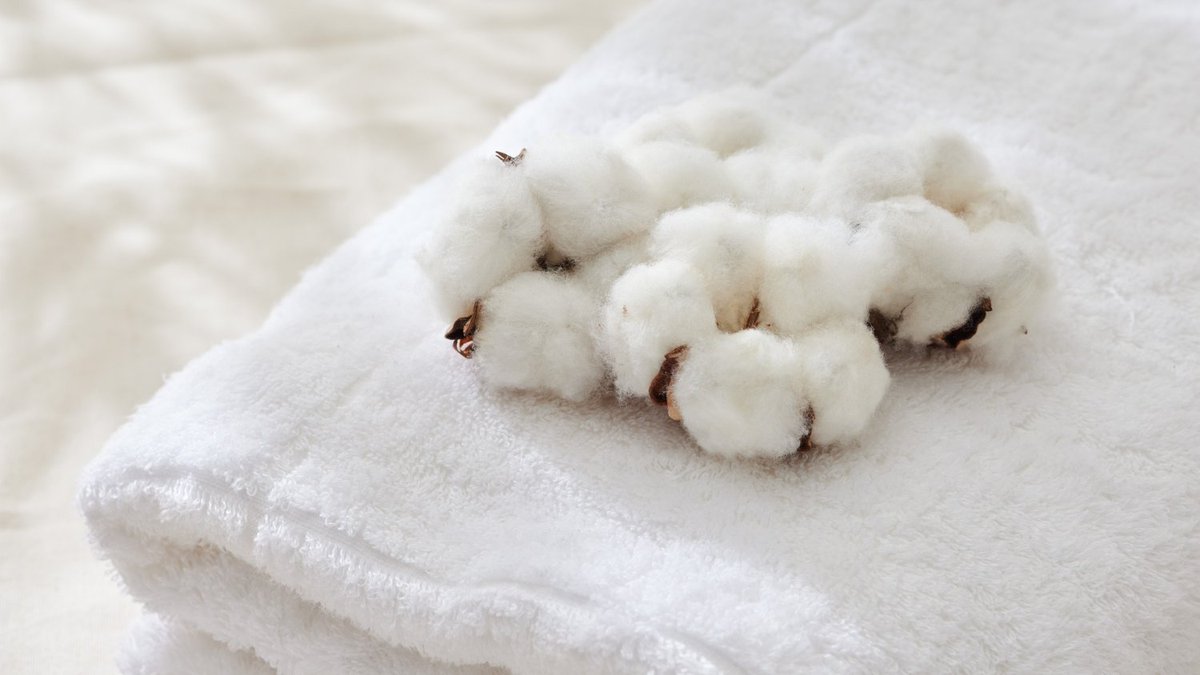 GlobalTexUsa's tweet photo. Why Do Luxury Hotels Prefer 100% Cotton Towels and Sheets? Let's dive into why high-end hotels insist on cotton towels and sheets.
🔗Readmore:https://t.co/vOpLoPM0N5 #GlobaltexFineLinens #LuxuryHotels #HotelTextiles #CottonLinens #HotelProduct https://t.co/8tkVEkrVwB