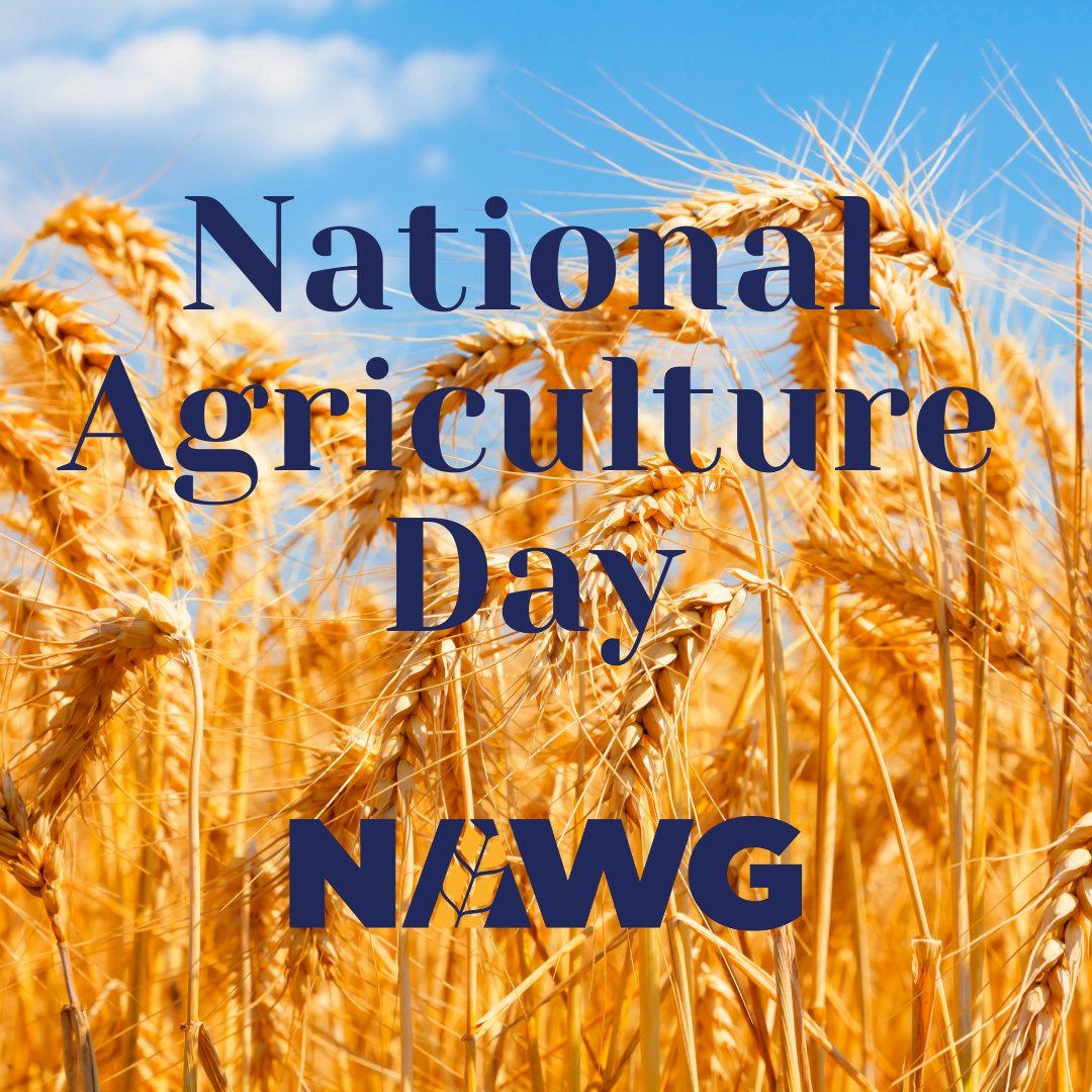 Happy National Ag Day! Today, and every day, we’re grateful for the hardworking wheat producers who grow safe, healthy products that nourish our nation.