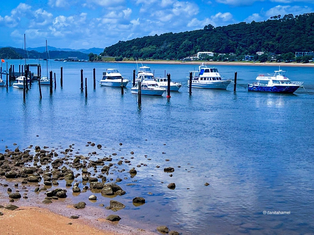 danitahamel's tweet image. Good morning and happy Tuesday!☕️🫖👋🏻😊

Today’s photo theme is: Float 🚢🛶⛵️🚤

#Float