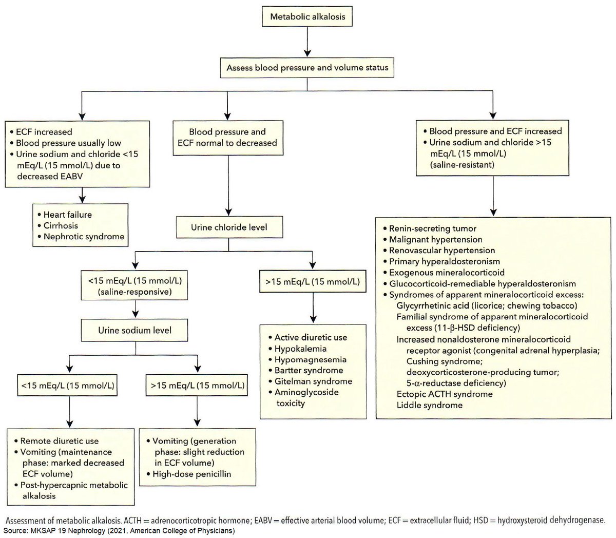 Assessment of Metabolic Alkalosis

#medtwitter #foamed #usmle