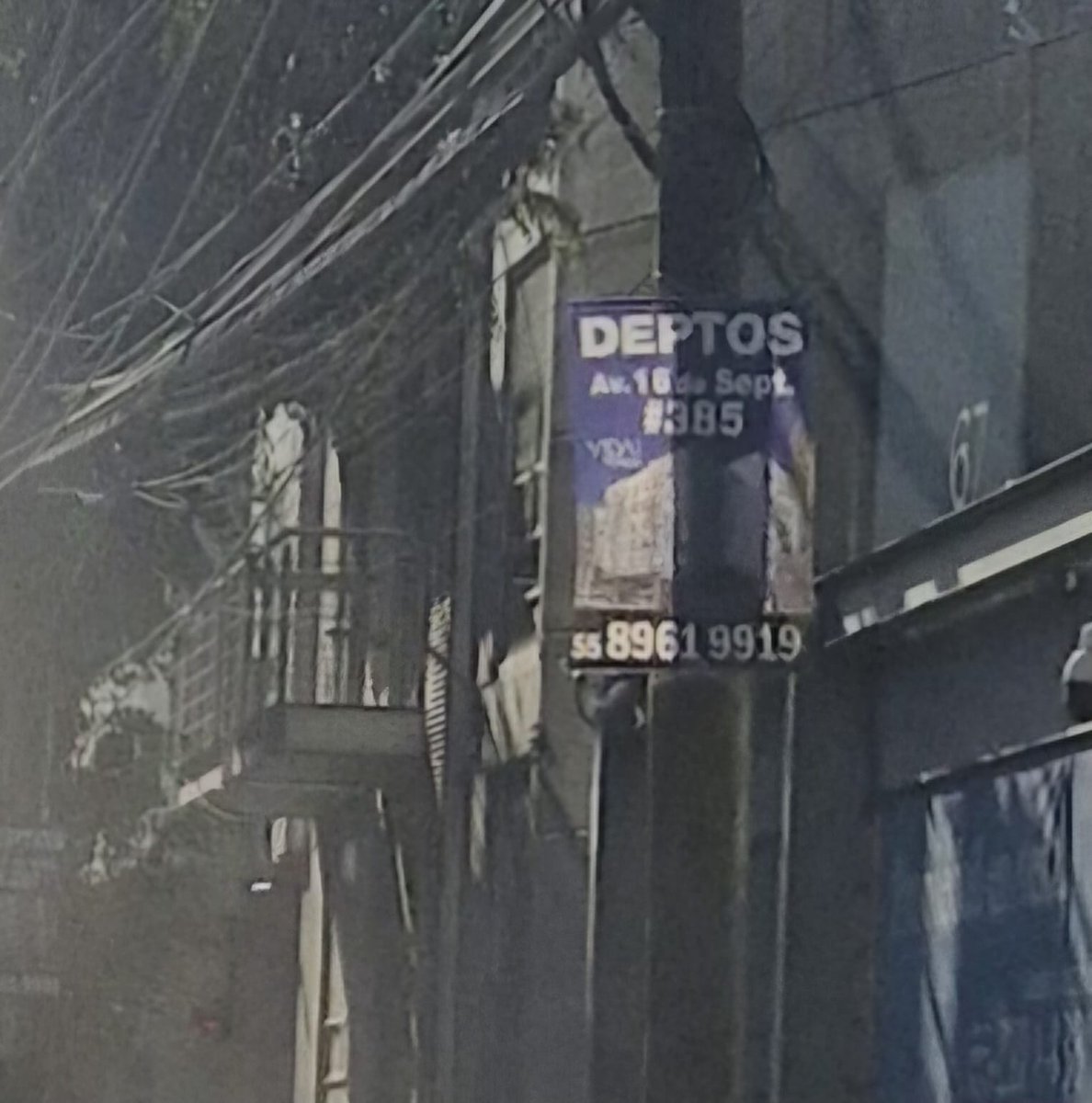 Umbral Polanco 🌳 tweet media