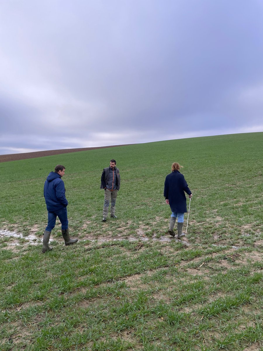 🚜 L’équipe Field Solutions Grandes Cultures s'est réunie pour préparer 2025 et visiter l’EARL des Novales, notre Ferme Pilote dans l’Oise. Premières observations prometteuses sur le système intégré appliquant des micro-organismes… À suivre ! 🌾👀 #Agriculture #Innovation