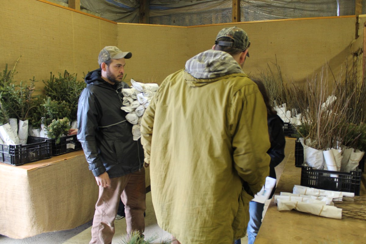 📢🚨Don't forget! the @clearforkffa Tree Seedling Sale is today! Don't miss out on the opportunity to get seedlings for your property! Check out our website for sale locations and hours! Hope to see you there! 🌳💚🌎richlandswcd.net/event/clear-fo…