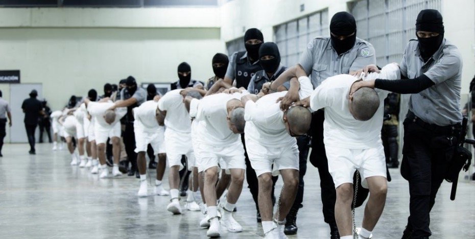 Nobody in this pic is identifiable. We don't really know who is being deported, and we don't know who the #bootlickers carrying out illegal activities are.   If you have to wear masks to carry out your orders, you're a goon, not a LEO.