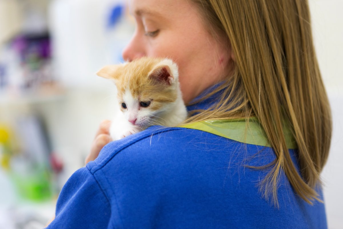📅 2 Days until World #ParasiteAwarenessDay!

🐾 Parasite prevention starts with a conversation! Your vet can help you understand local parasite risks and the best ways to protect your pet. 

Have you scheduled your next visit?