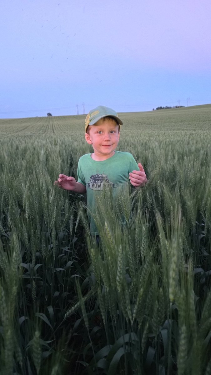 DanEsling's tweet photo. How time flies.  My sidekick turned 6 today!!  Hardest working most thoughtful little man I know. https://t.co/6riYP0uh1Z