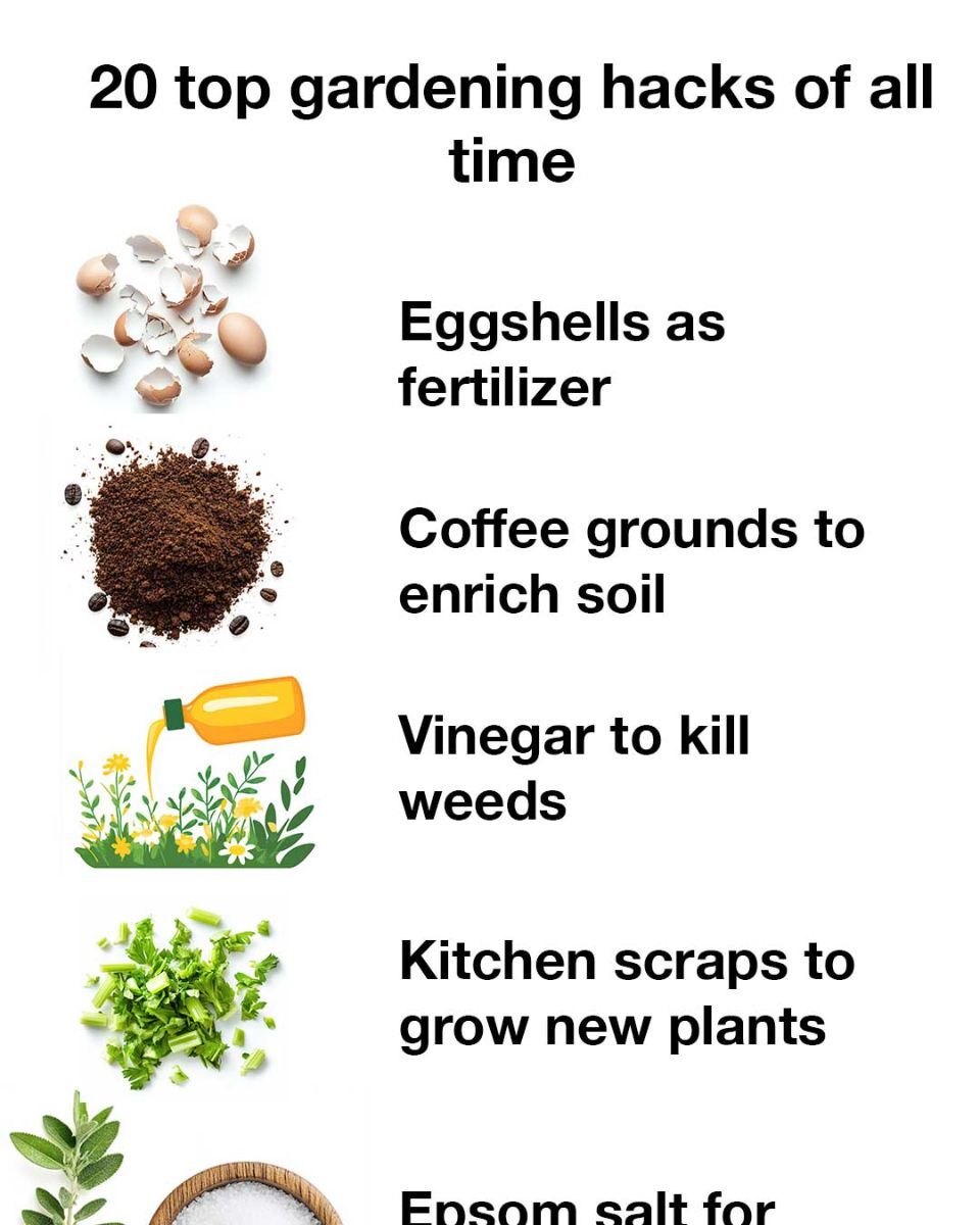 GoNaturalEd's tweet image. Go Natural Education is celebrating National Agriculture Day! 👨‍🌾We hope you enjoy these 20 top gardening hacks from our friends at DIY Everywhere. bit.ly/41wEZlr #NationalAgricultureDay #NationalAgDay #farms #farmers #gardens #gardeners