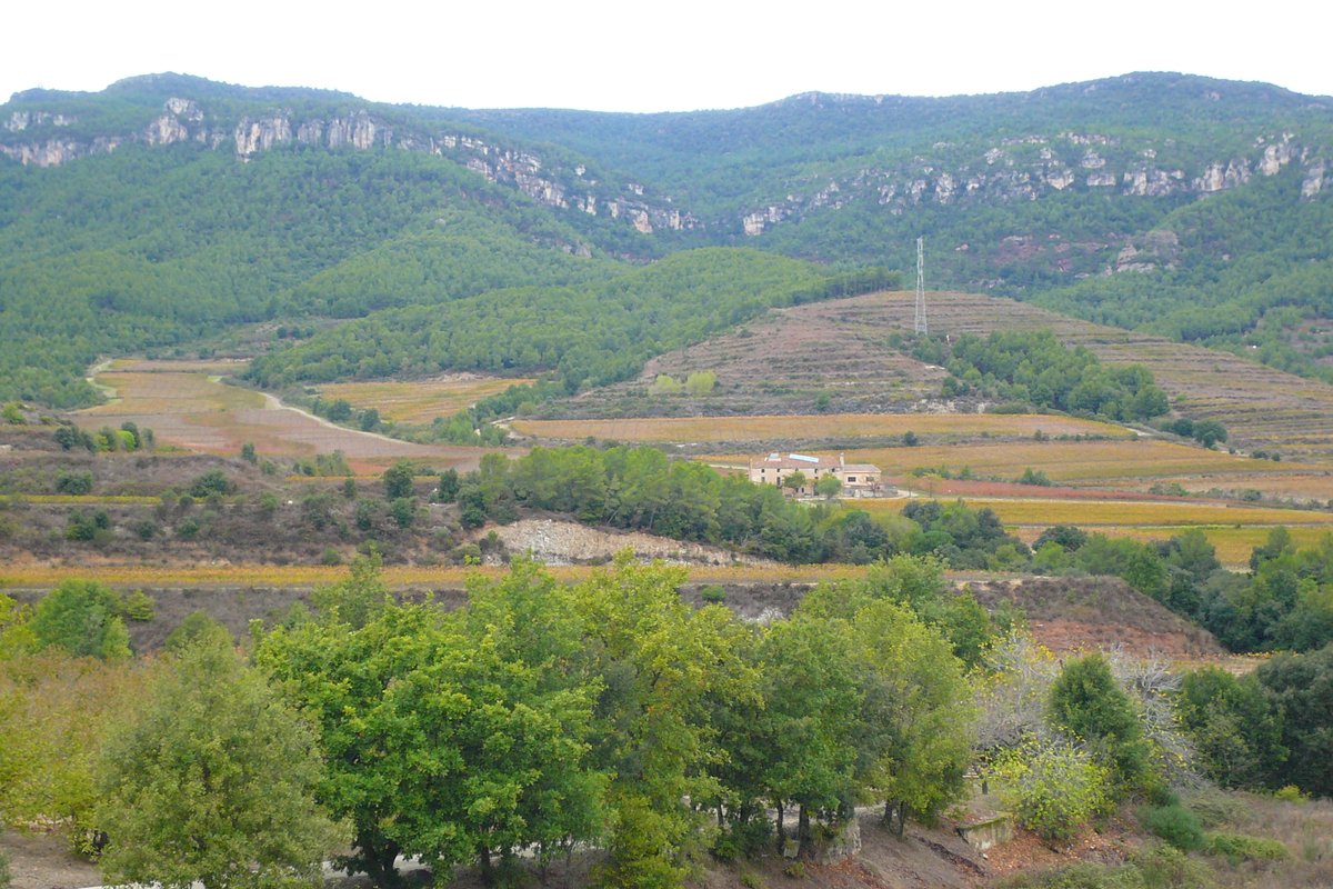 Engega un procés de participació pel Projecte de Decret de Parc Natural de les Muntanyes de #Prades, Poblet i Serra de la Llena, que inclou 24 municipis de 5 comarques del sud de Catalunya.
1a sessió informativa demà DX 19/03 a 2/4 de 6 Convents de les Arts d'#Alcover
#PNMPrades