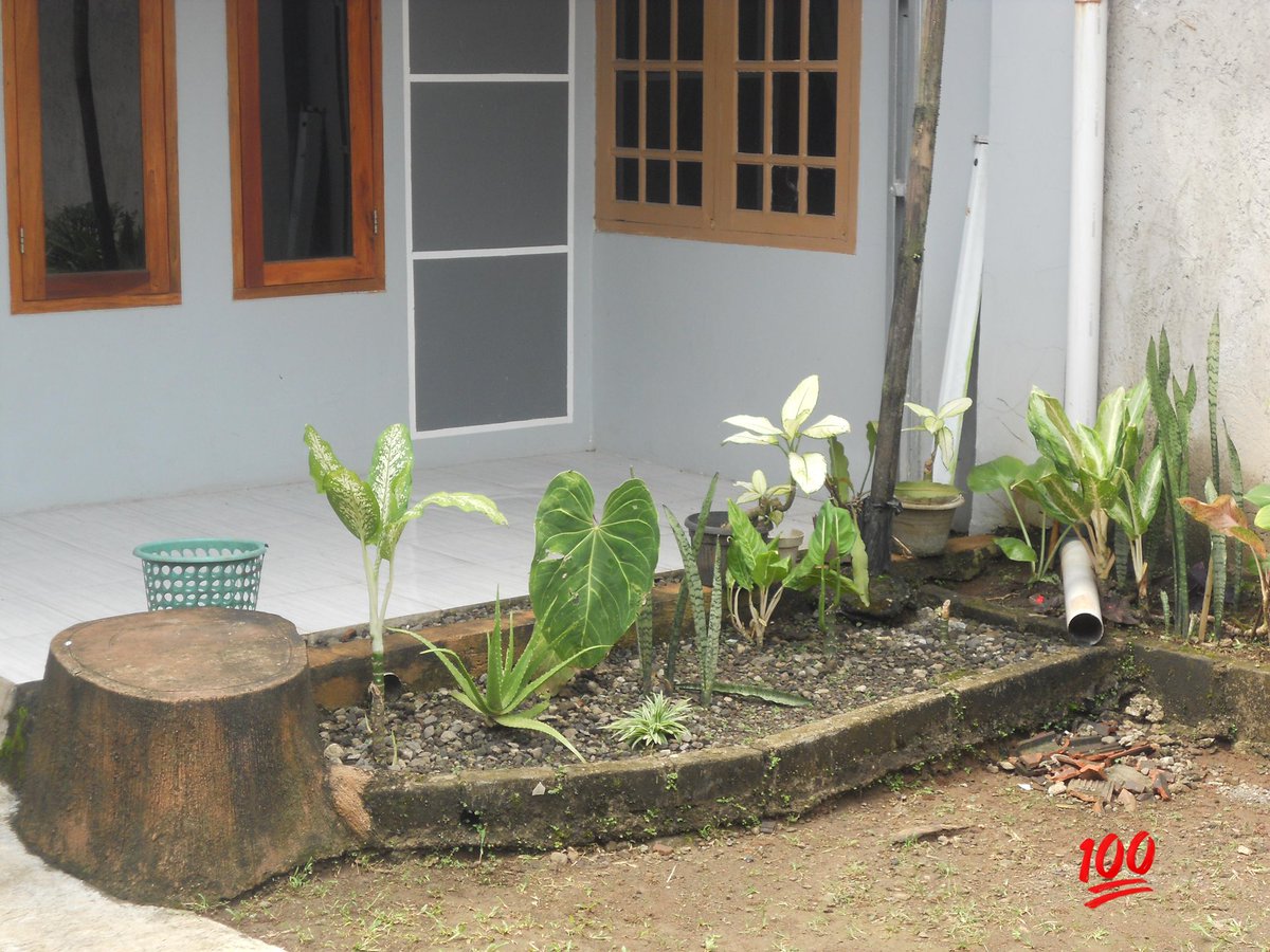 nica 🐈‍⬛ tweet media