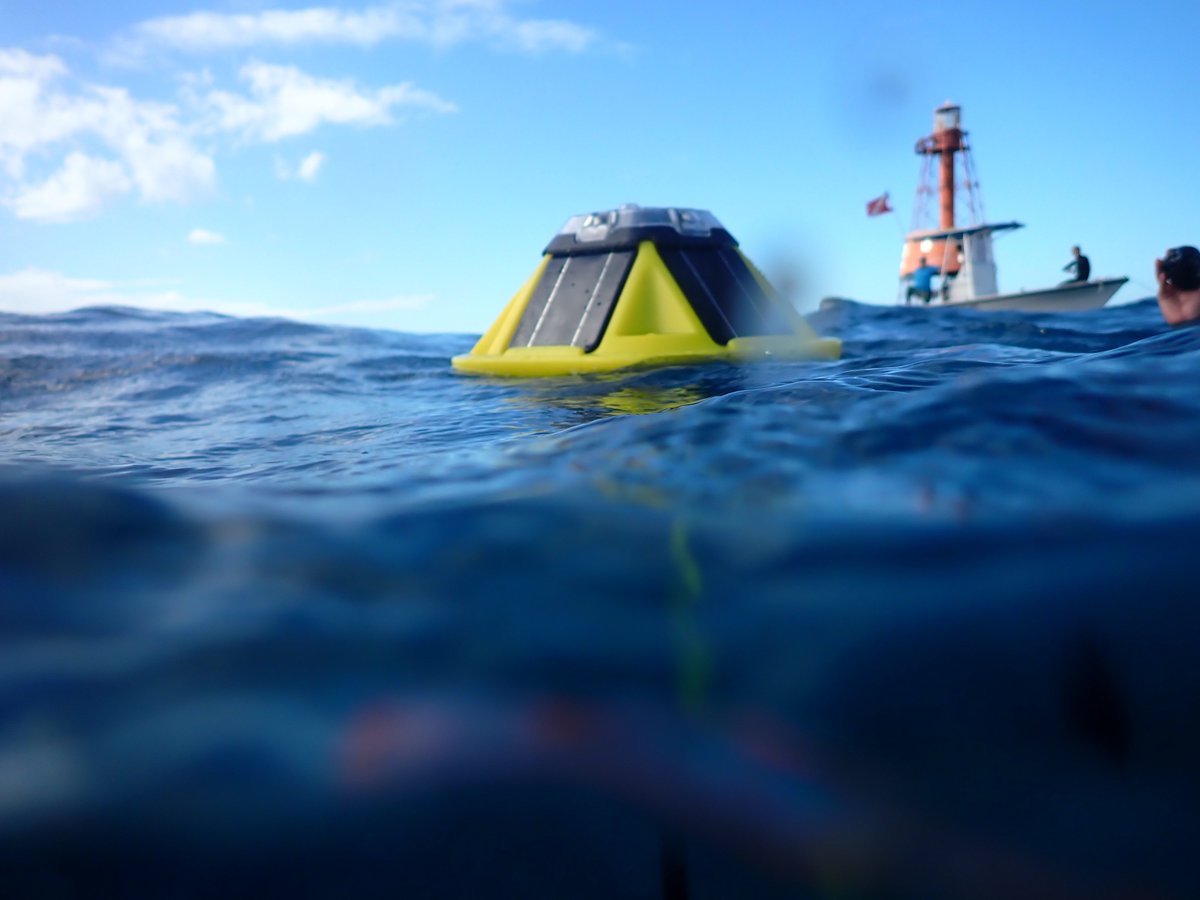 NOAA_AOML's tweet image. Scientists at AOML have successfully deployed a new series of buoys across essential reefs in the Florida Keys, monitoring oceanic conditions in near-real time - and the impacts of ocean acidification.
Learn more here: aoml.noaa.gov/ocean-acidific…
Online App: coral.aoml.noaa.gov/mir/