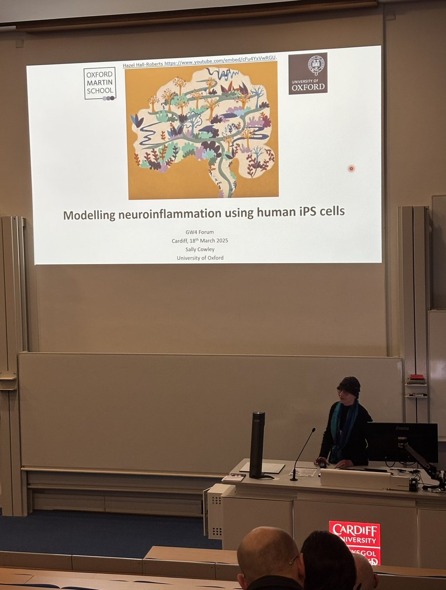 GW4 Animal Replacement Network (@gw4_3rs) on Twitter photo Dr Hazel Hall-Roberts (@ukdri @hazellroberts) has introduced our second keynote speaker, Dr Sally Cowley (@dunn_school @uniofoxford), who is giving a thought-provoking talk titled “Modelling neuroinflammation
using human iPS cells”. Dr Hazel Hall-Roberts (@ukdri @hazellroberts) has introduced our second keynote speaker, Dr Sally Cowley (@dunn_school @uniofoxford), who is giving a thought-provoking talk titled “Modelling neuroinflammation
using human iPS cells”.