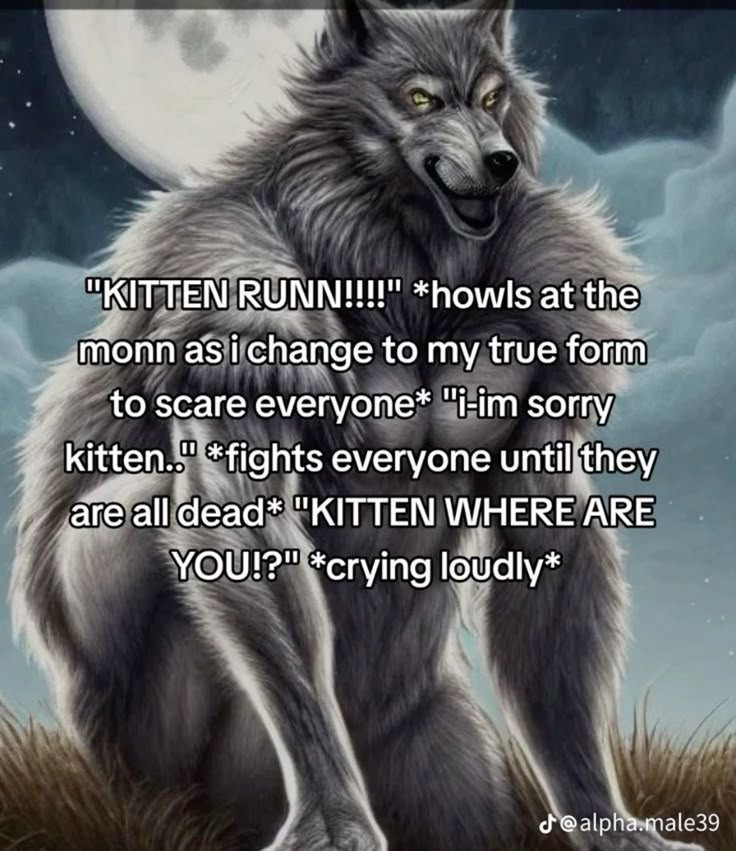 ciumeric's tweet image. 