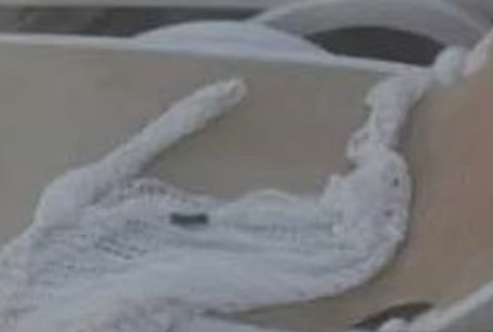 CoffindafferFBI's tweet image. #SudikshaKonanki 

Sudiksha's parents believe Sudiksha drowned.  

They have been in the Dominican Republic and thoroughly looked into this matter and scrutinized the police investigation. They have more at stake in this case than anyone. 

Tragic!

*Alcohol and swimming Never go…