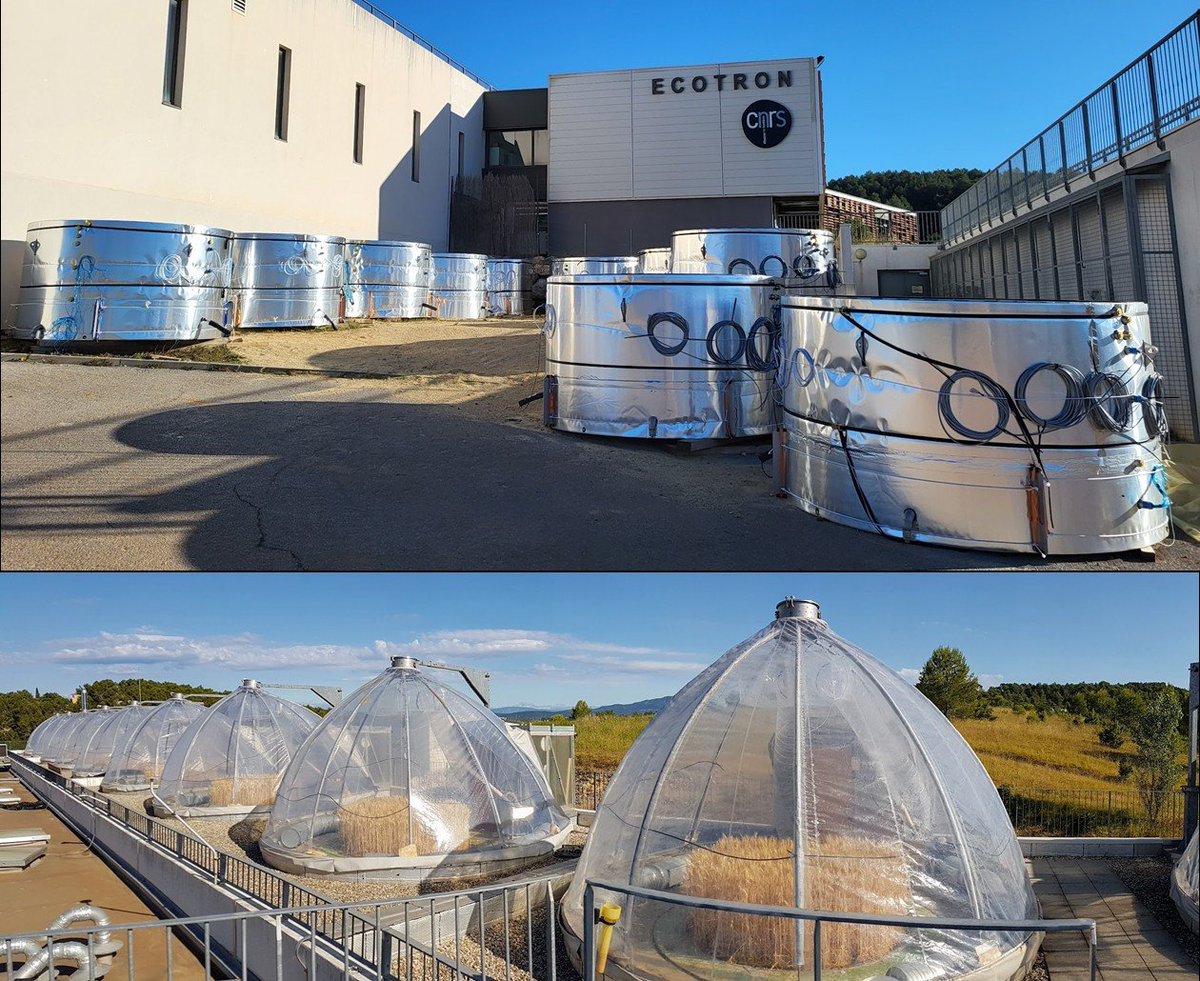 Ecotron CNRS (UAR-3248) (@ecotroncnrs) on Twitter photo 📢 #Postdoc Opportunity! 🌱
Join an #Ecotron project on soil carbon sequestration at <a href="/EcotronCNRS/">Ecotron CNRS (UAR-3248)</a> <a href="/CNRS_OccitaniE/">CNRS Occitanie Est</a>
🔗 Apply here: emploi.cnrs.fr/Offres/CDD/UAR…
📢 Please share!
#Soil #Biochar #EnhancedWeathering #AcademicJobs #JobOffer 📢 #Postdoc Opportunity! 🌱
Join an #Ecotron project on soil carbon sequestration at <a href="/EcotronCNRS/">Ecotron CNRS (UAR-3248)</a> <a href="/CNRS_OccitaniE/">CNRS Occitanie Est</a>
🔗 Apply here: emploi.cnrs.fr/Offres/CDD/UAR…
📢 Please share!
#Soil #Biochar #EnhancedWeathering #AcademicJobs #JobOffer