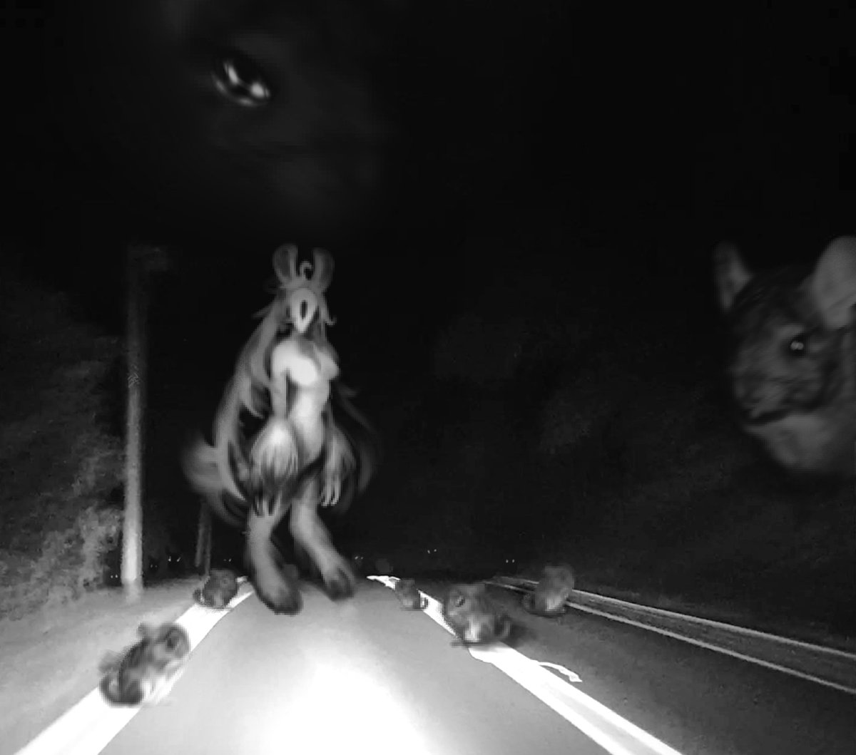 🫥 ΞSДS CФSДS ИФ SФИ VΓЦБΞЯS😵
7: Keirame
#KeirameArt