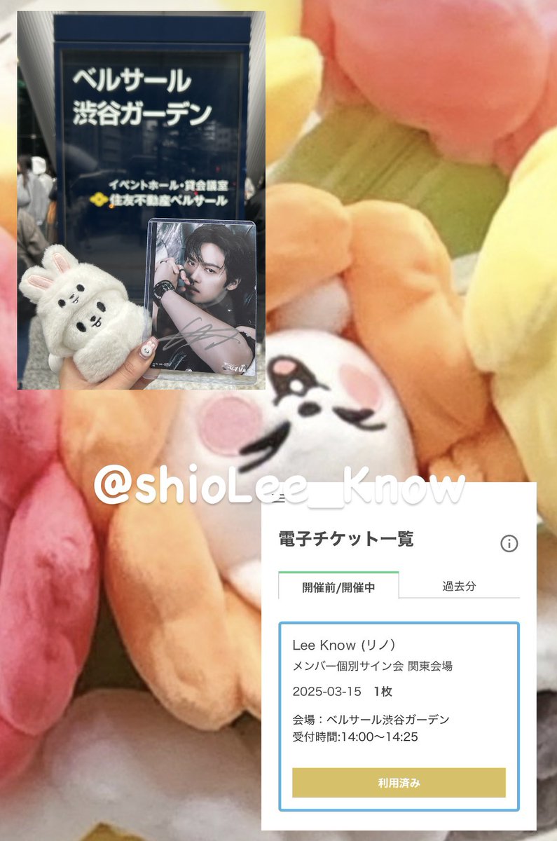 시오리노 tweet media
