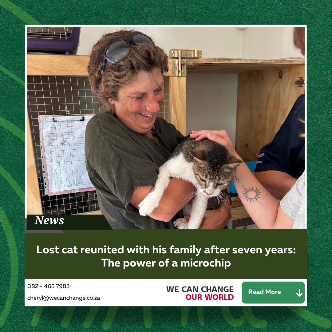 WeCanChangeSA's tweet photo. Lost cat reunited with his family after seven years: The power of a microchip.

Explore the full article here:
https://t.co/K2MZtZ27XJ

#WeCanChangeOurWorld #Growth #PetReunion #AnimalRescue #MicrochipYourPet #LostAndFound #HeartwarmingStory #TEARSAnimalRescue #RescueCats https://t.co/uN6o3wEIlQ