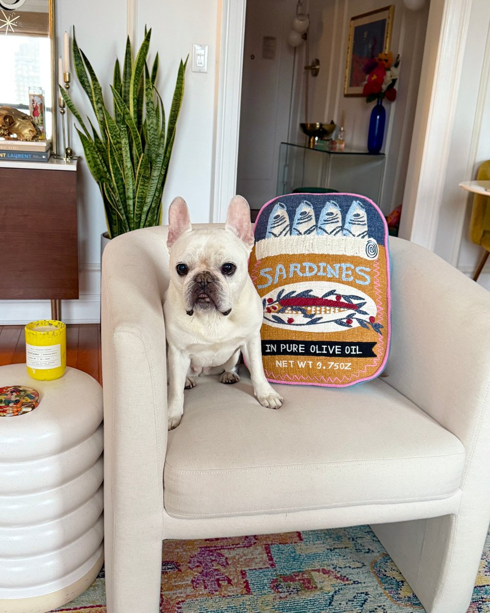 worldmarket's tweet photo. ✨We asked @katelynsailor to perk up a room with our cute, colorful, quirky pillows. 🌞🌸🐟 We love her affordable looks! 

Shop pillows: https://t.co/xQqLNrwDDQ https://t.co/18YUAJU17f