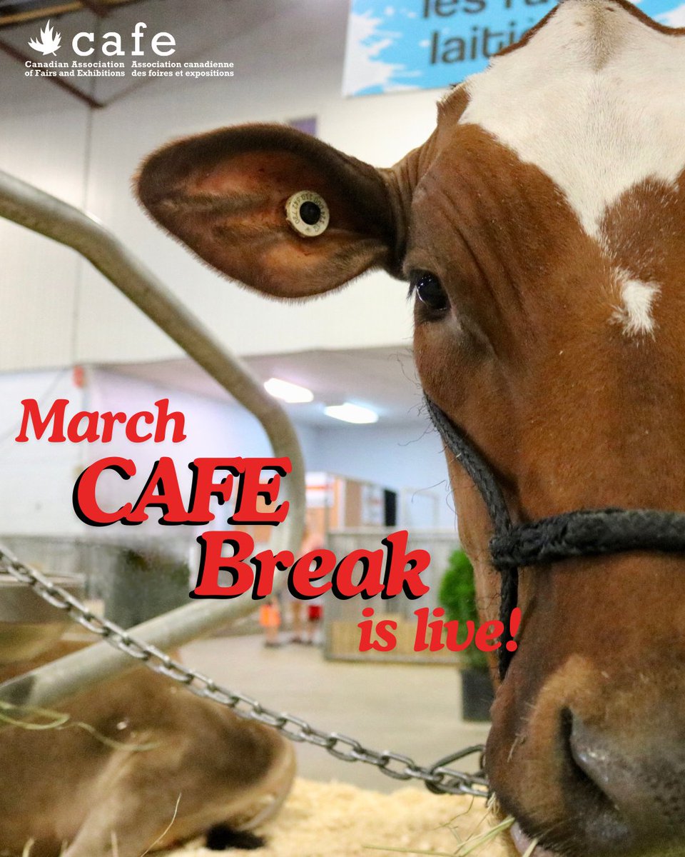 The March issue of the CAFE newsletter is out!

Read about industry initiatives to mitigate the impact of tariffs, how to attend our 2025 Convention in Calgary, and more.

Visit canadianfairs.ca/newsletters