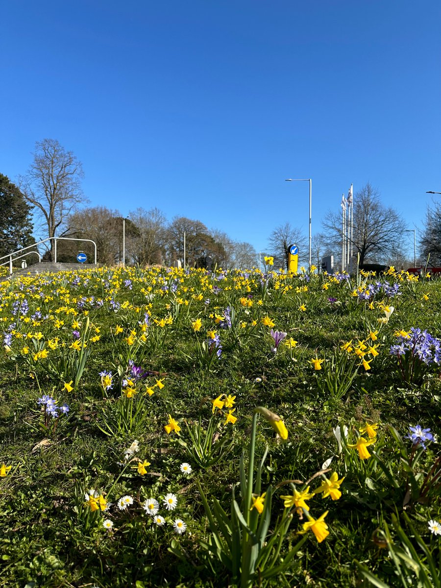 Brunel University of London tweet media