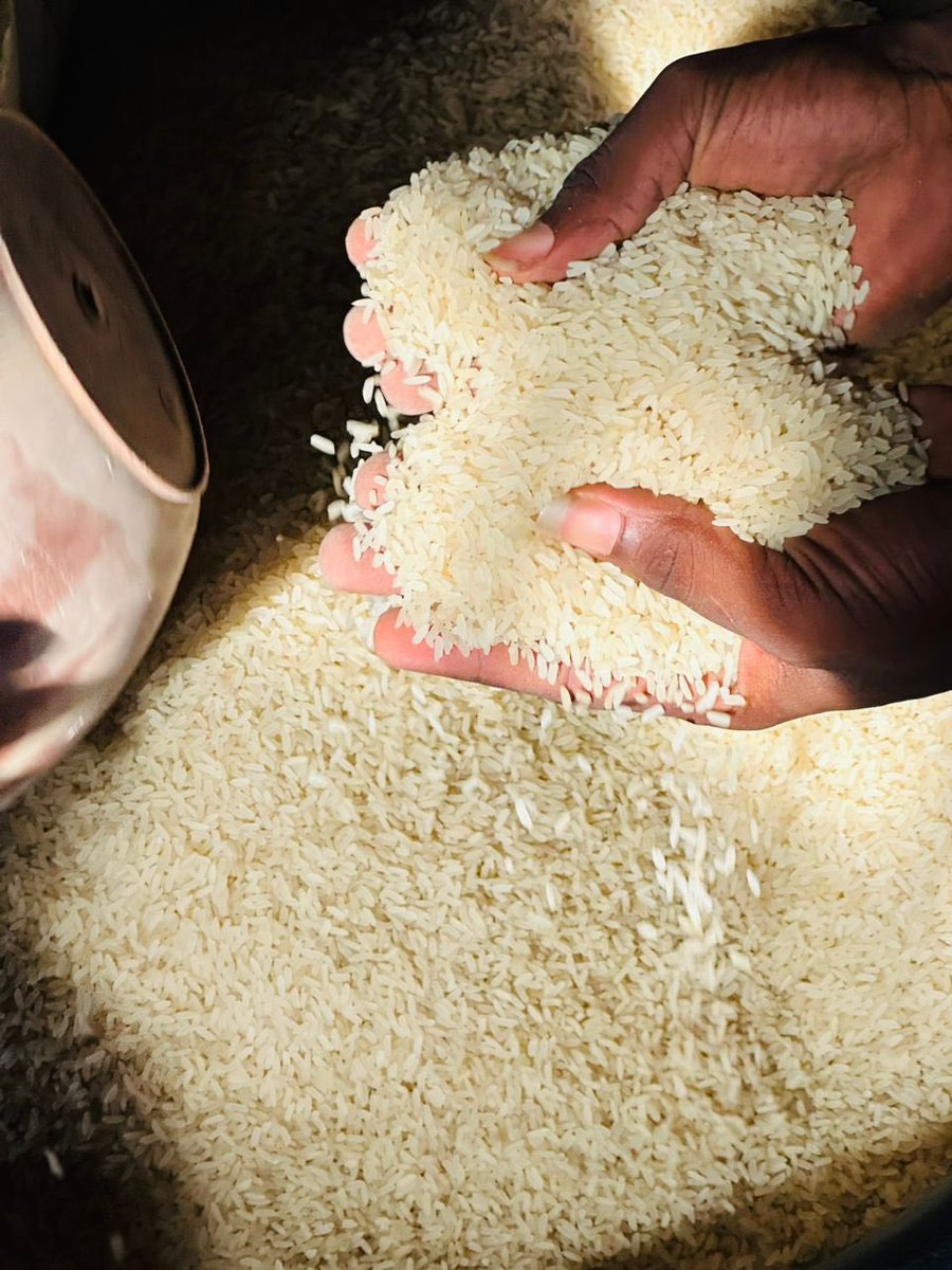 Abuja Order can start coming in….✊

Foreign 66k
Nigerian 61k

Buyers to pay for waybill 
08148990122