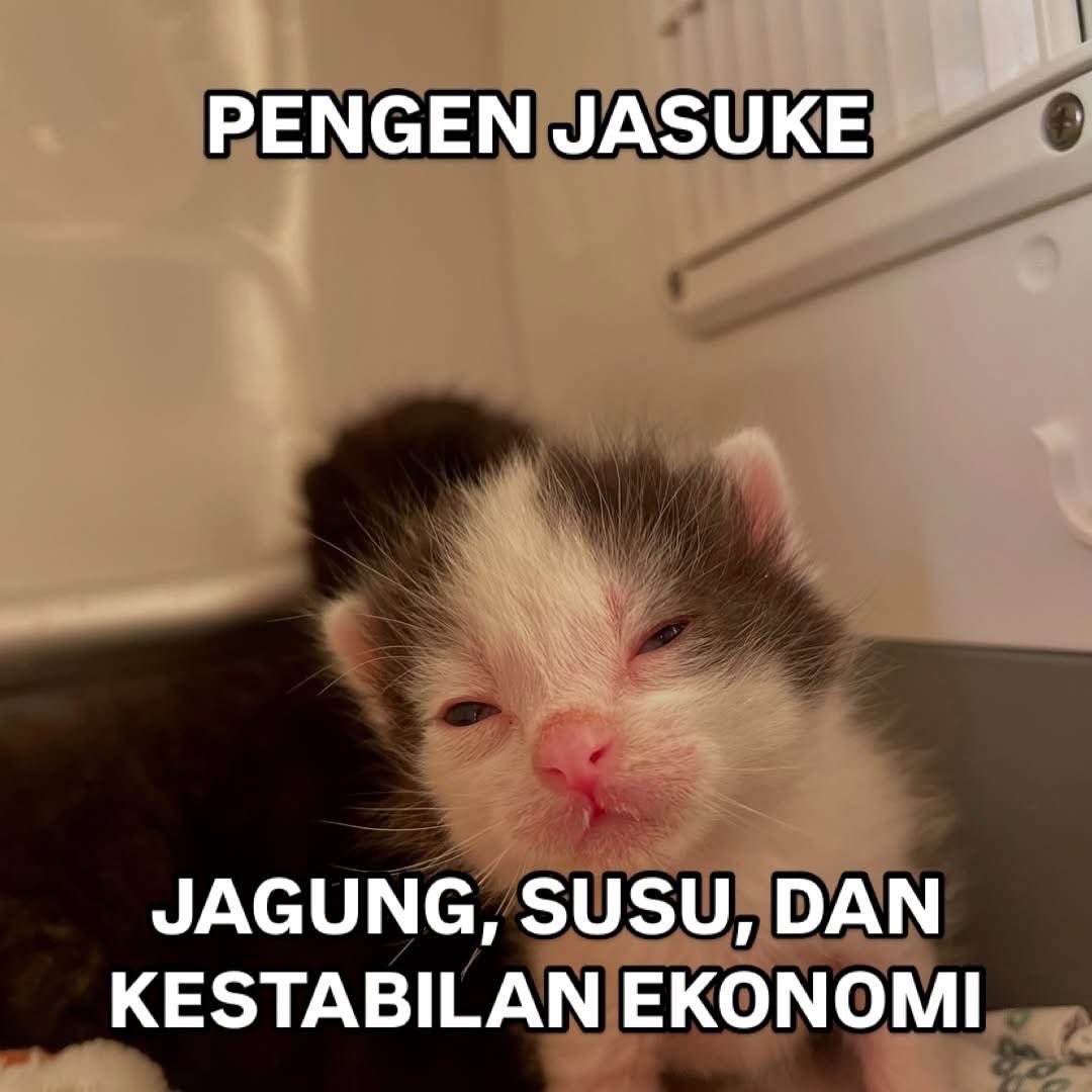 sosmed keras tweet media