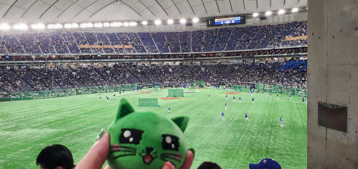 CHOMO💚조모💚 tweet media