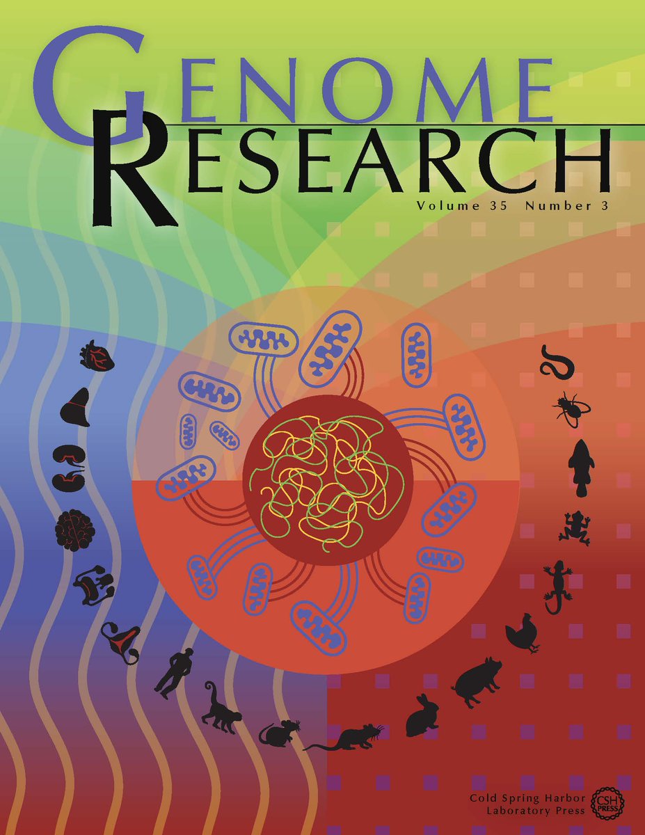 Genome Research (@genomeresearch) on Twitter photo The new issue of <a href="/genomeresearch/">Genome Research</a> is now live! Follow the link to new research on mitochondrial–nuclear gene expression regulation, guppy Y Chromosome genomics, and more! tinyurl.com/Genome-Res-35-3 The new issue of <a href="/genomeresearch/">Genome Research</a> is now live! Follow the link to new research on mitochondrial–nuclear gene expression regulation, guppy Y Chromosome genomics, and more! tinyurl.com/Genome-Res-35-3
