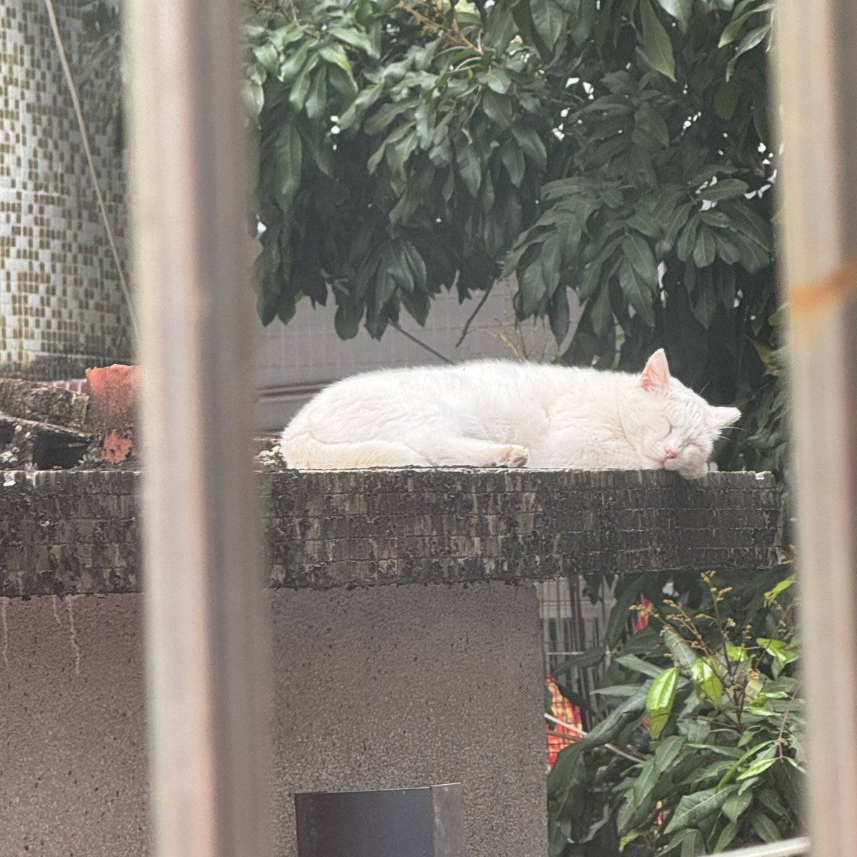 Zzzz🧊 tweet media