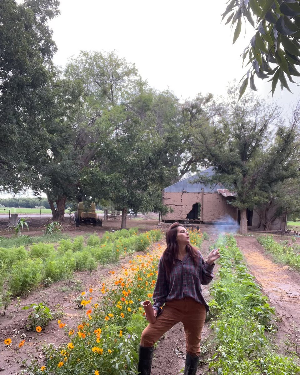 Audreybatalo's tweet photo. My favorite season🍃🍃

#420community #cannabiscommunity #weedmob #wakenbake #420fam #stoners #weedlovers #Stonerfam #pothead #Marijuana #cannabis #Smokers #420friendly #Hightweeds #cannabislovers #weed #cannabisLegal #Medicated #mmemberville https://t.co/02oXihlquj
