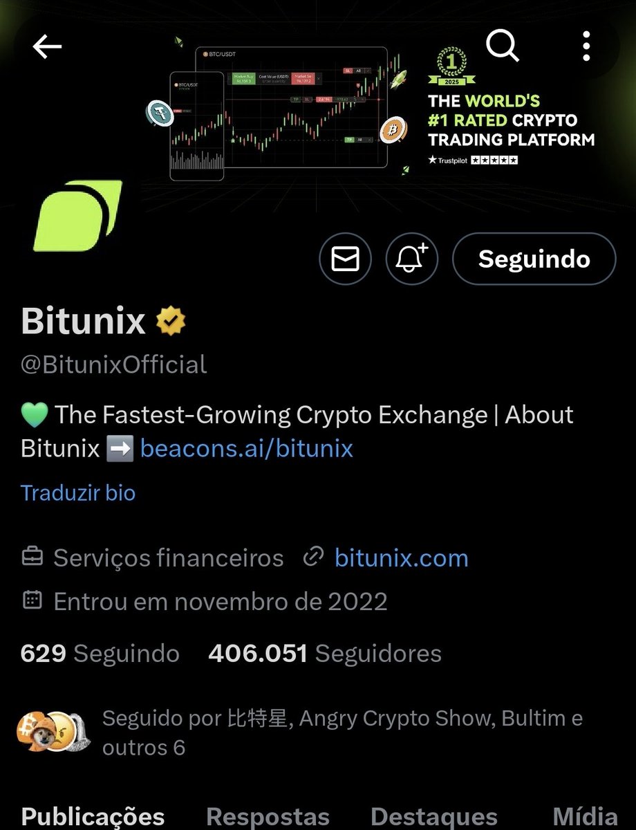 DogBrazil tweet media