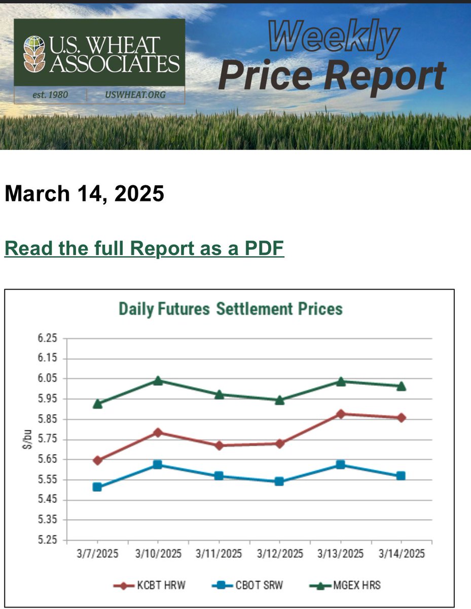 Eduardo Flores Moreno tweet media