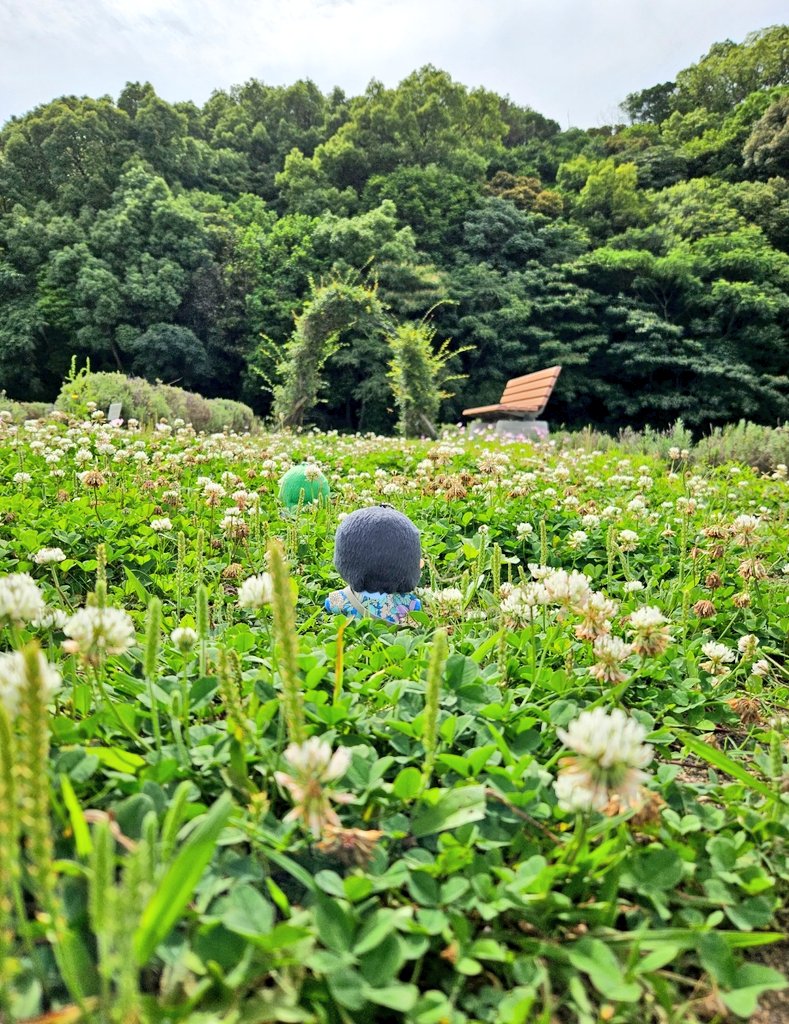 なのこ 🏍️🪽済 tweet media