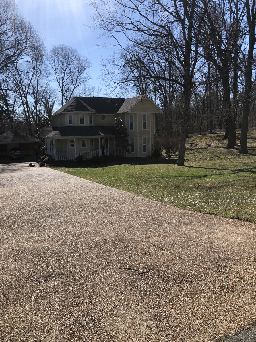 This is the reason I worry about storms, my house is surrounded by big trees😱