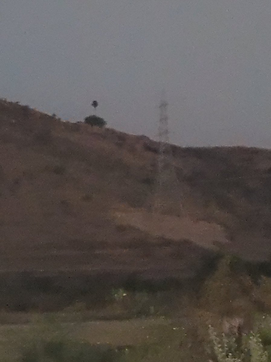 eudaykumaru58's tweet image. #Nokia9 #Nokia9pureview